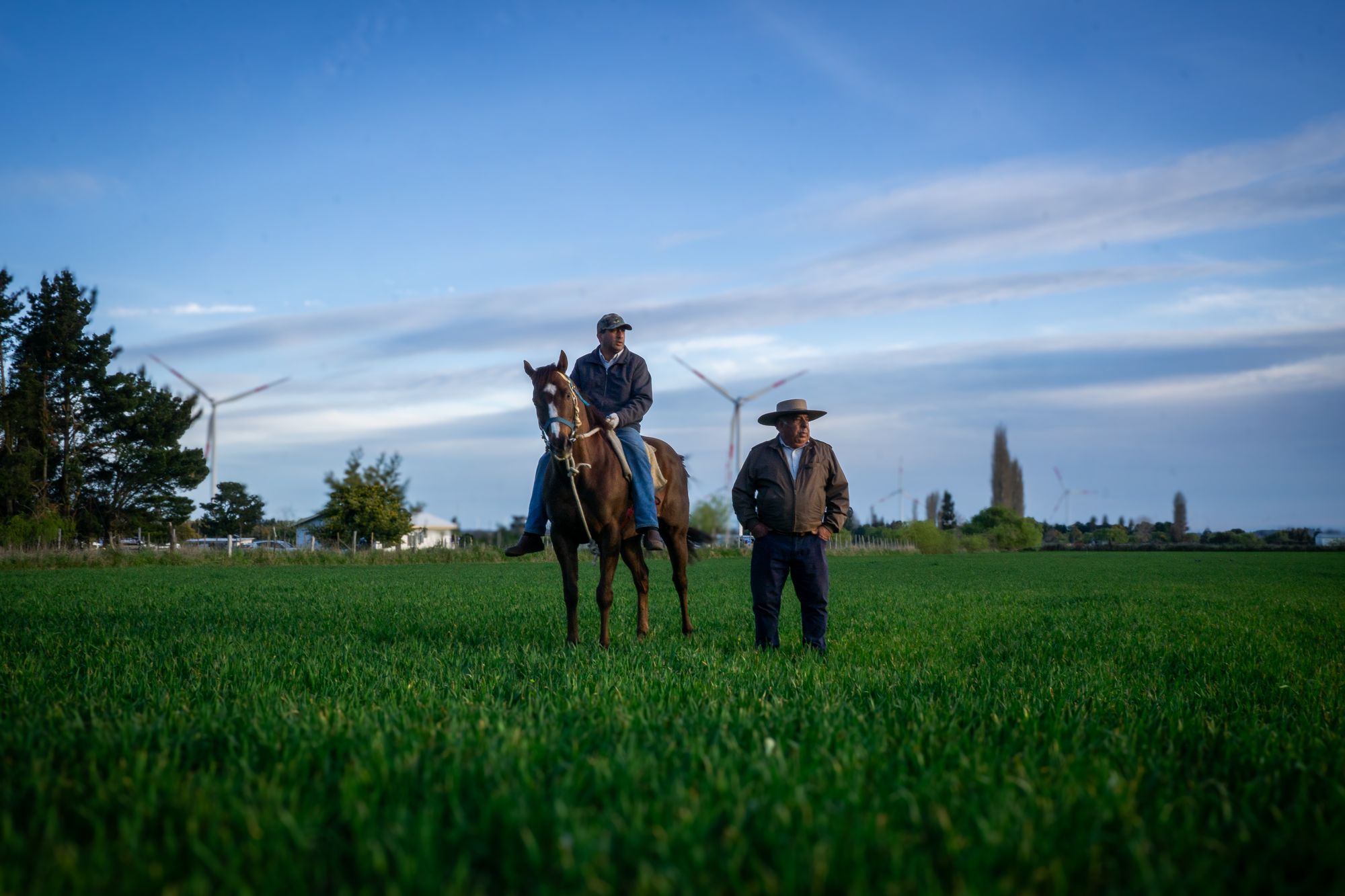 Dos hombres y un caballo en un campo verde, Millonario